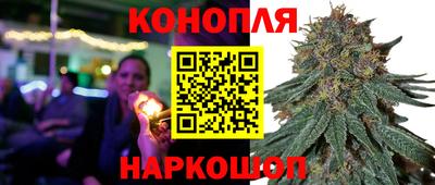 индика Заволжье