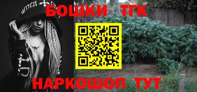 индика Заволжье