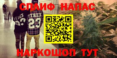 СК Заводоуковск