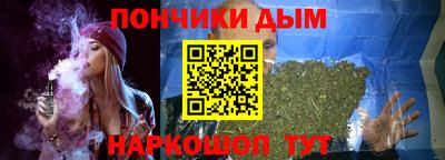 индика Заволжье