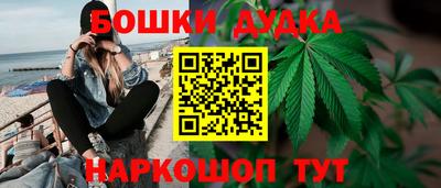индика Заволжье